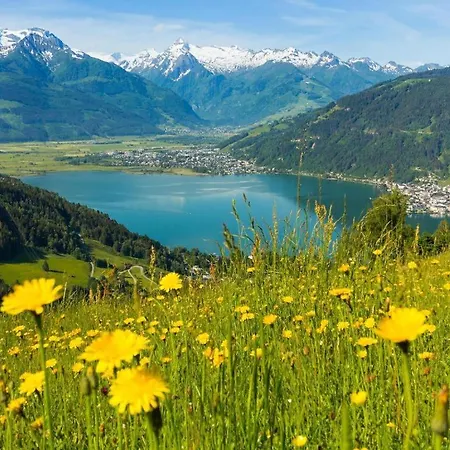 Apartment Avenue By Krone Company For Rent